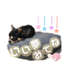 いずつむちゃん（個別スタンプ：39）