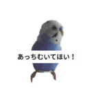 吹雪丸の日常（個別スタンプ：2）