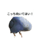 吹雪丸の日常（個別スタンプ：3）
