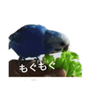 吹雪丸の日常（個別スタンプ：4）