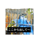 吹雪丸の日常（個別スタンプ：7）