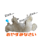 うめの友達★茶茶★（個別スタンプ：2）