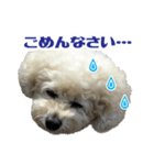 うめの友達★茶茶★（個別スタンプ：4）