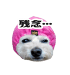 うめの友達★茶茶★（個別スタンプ：6）