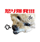 うめの友達★茶茶★（個別スタンプ：8）