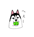 太っちょハスキー（個別スタンプ：1）