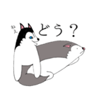 太っちょハスキー（個別スタンプ：5）
