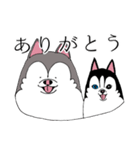 太っちょハスキー（個別スタンプ：6）