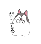 太っちょハスキー（個別スタンプ：10）