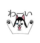 太っちょハスキー（個別スタンプ：11）
