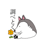 太っちょハスキー（個別スタンプ：13）
