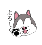 太っちょハスキー（個別スタンプ：15）