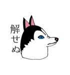 太っちょハスキー（個別スタンプ：30）