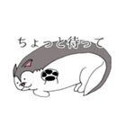 太っちょハスキー（個別スタンプ：40）