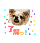 Tom＆Maro①（個別スタンプ：5）