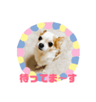 Tom＆Maro①（個別スタンプ：6）