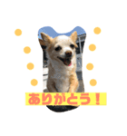 Tom＆Maro①（個別スタンプ：7）