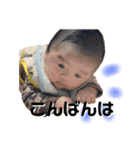 ぴろり君 1【かんたん言葉】（個別スタンプ：5）