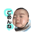 ぴろり君 1【かんたん言葉】（個別スタンプ：19）