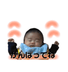 ぴろり君 1【かんたん言葉】（個別スタンプ：24）