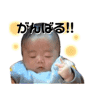 ぴろり君 1【かんたん言葉】（個別スタンプ：27）