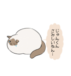 おならで喋るねこ（じゅんくん）（個別スタンプ：33）