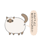 おならで喋るねこ（きみちゃん）（個別スタンプ：1）