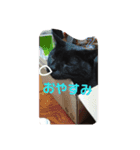 ムージーゴー（個別スタンプ：4）