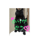ムージーゴー（個別スタンプ：5）