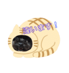 のあさんライフ（個別スタンプ：9）