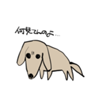 どことなく高圧的な犬（個別スタンプ：1）