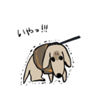 どことなく高圧的な犬（個別スタンプ：2）