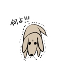 どことなく高圧的な犬（個別スタンプ：4）