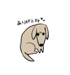どことなく高圧的な犬（個別スタンプ：6）