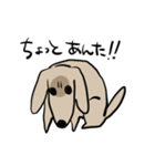 どことなく高圧的な犬（個別スタンプ：7）