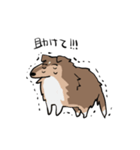 どことなく高圧的な犬（個別スタンプ：11）