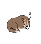 どことなく高圧的な犬（個別スタンプ：13）
