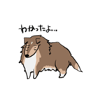 どことなく高圧的な犬（個別スタンプ：14）