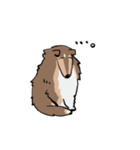 どことなく高圧的な犬（個別スタンプ：16）