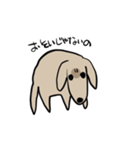 どことなく高圧的な犬（個別スタンプ：18）