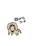 どことなく高圧的な犬（個別スタンプ：20）