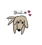 どことなく高圧的な犬（個別スタンプ：24）