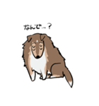 どことなく高圧的な犬（個別スタンプ：25）