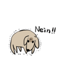 どことなく高圧的な犬（個別スタンプ：34）