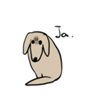 どことなく高圧的な犬（個別スタンプ：36）