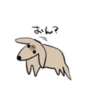 どことなく高圧的な犬（個別スタンプ：39）