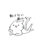 白いもちゃねこ（個別スタンプ：29）