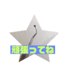 歯医者さんのイラストと写真スタンプ3（個別スタンプ：11）