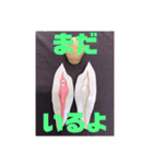 歯医者さんのイラストと写真スタンプ3（個別スタンプ：15）