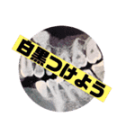 歯医者さんのイラストと写真スタンプ3（個別スタンプ：17）